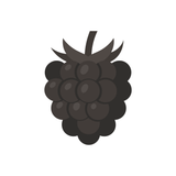 Fresh raspberries